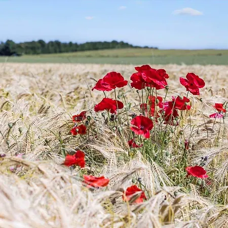 8536-grenaa-dortevej-1