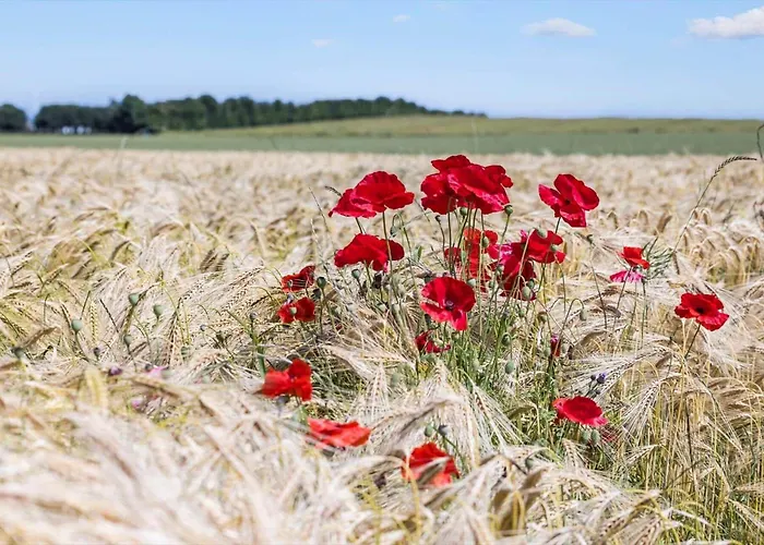 8536-grenaa-dortevej-1